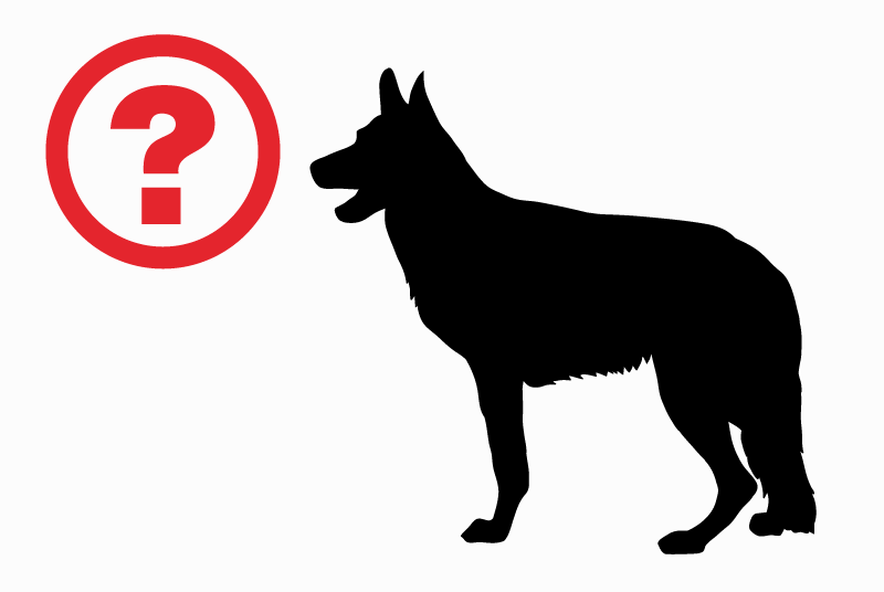 Alerte Découverte Chien  Inconnu Le Clerjus France